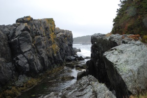 rotsformatie aan de kust | Bay Bulls